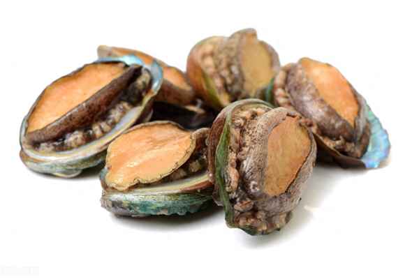鮑魚(yú)的功效與作用,澳洲鮑魚(yú)的功效與作用