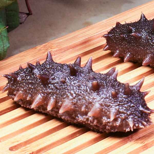大連最好的海參是哪家_大連哪個海參品牌好