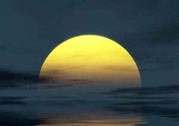 海上生明月,天涯共此时-海上生明月,天涯共此时的作者是谁？