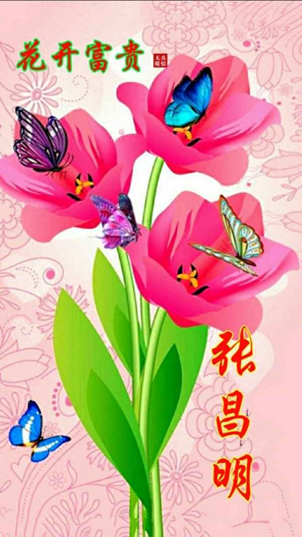 花開富貴下句吉祥—花開富貴后一句