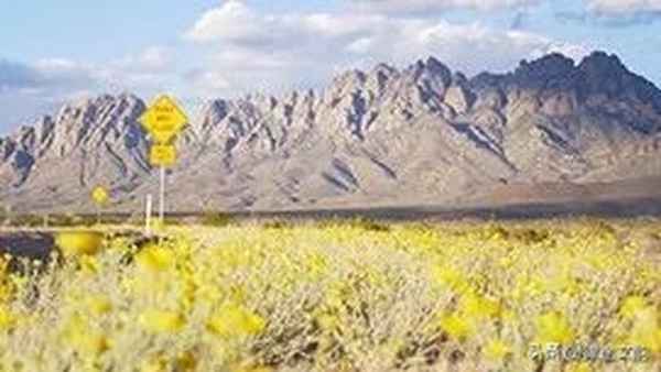 不似人间胜似人间;不似人间bluer