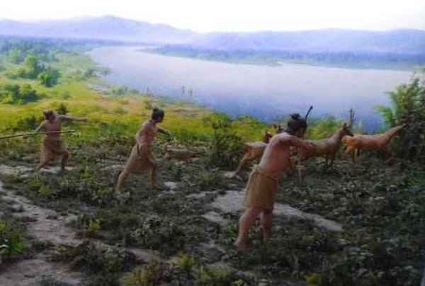 半坡文化、半坡文化属于仰韶文化