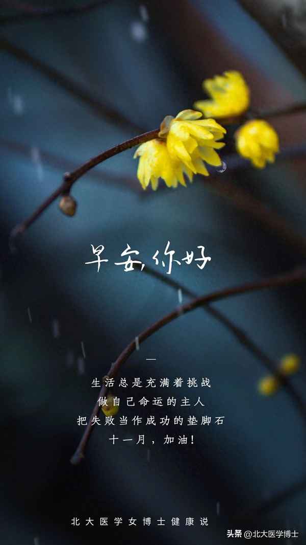 中國中醫藥現代遠程教育雜志;中國中醫藥現代遠程教育雜志發票申請