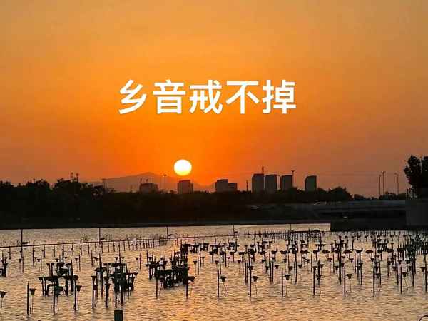 贍養(yǎng)老人協(xié)議書(shū)15篇-贍養(yǎng)老人協(xié)議書(shū)范本2019