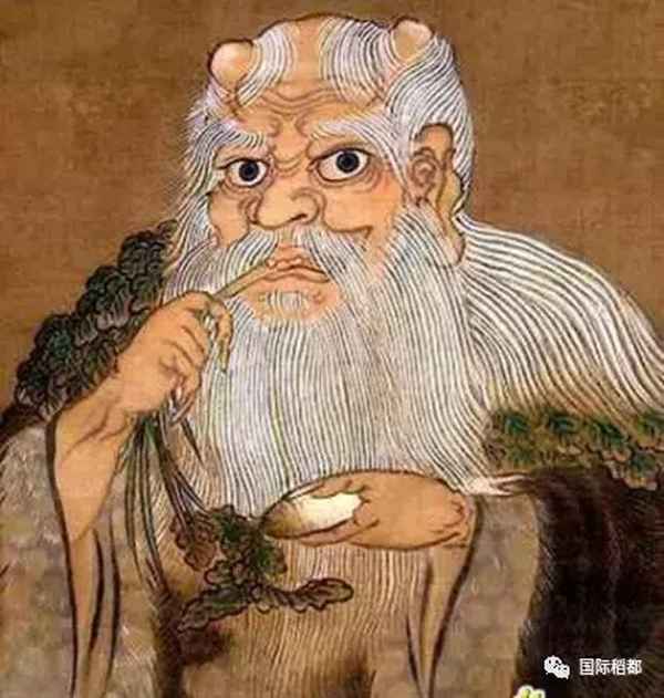 水稻的發源地具體在哪里;水稻源自于哪里
