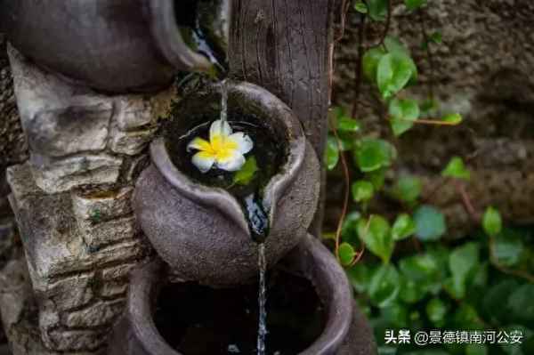 意语泪先流上一句是什么_意语的意思是什么