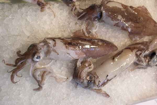 魷魚(yú)焯水后怎么縮小那么多—魷魚(yú)焯水后需要過(guò)涼水嗎