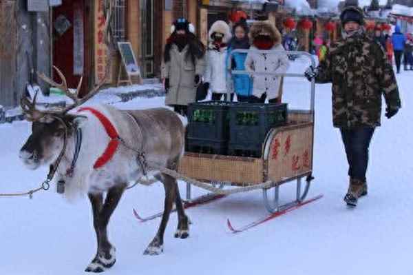 100元吃遍东北早市当事人道歉—东北早市几点出摊