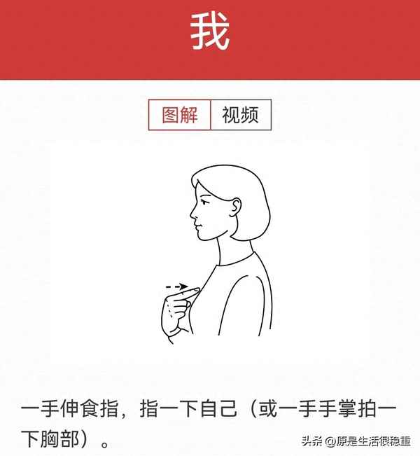 国家手语详细分解图;国家手语分解动作图