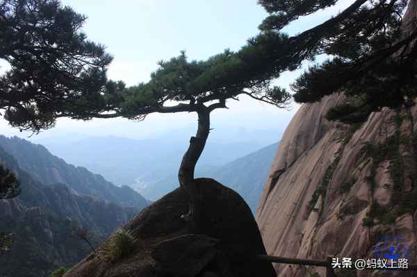 登天都峰眺莲花峰_假期日记范文100字