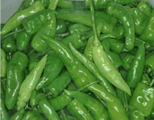 大辣椒能做泡菜嗎-大辣椒能做泡菜嗎視頻