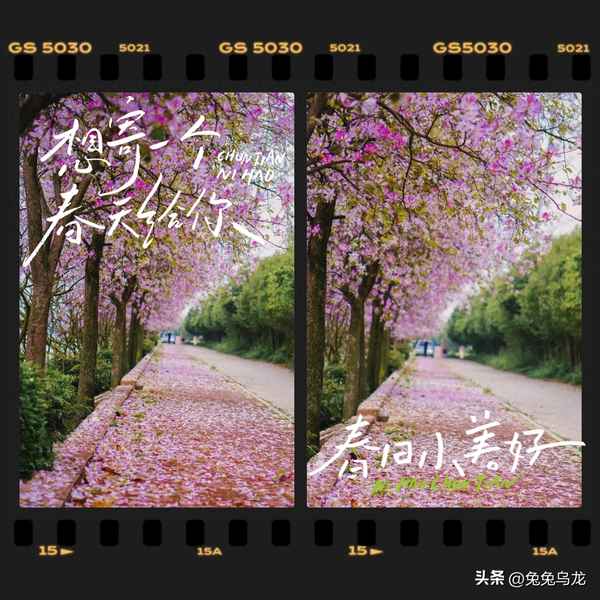 广东财经大学赤沙校区;广东财经大学赤沙校区面积