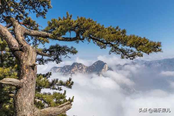 陜西渭南十大旅游景點-渭南附近一日游最佳景點