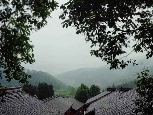 关于描写雨中雨伞的句子_描写雨中的伞的片段