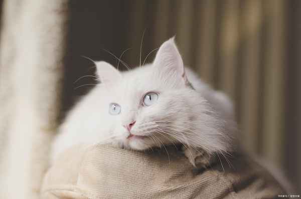 点点财经直播_点点搜财