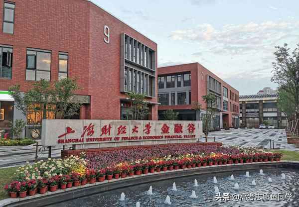 上海財經(jīng)累(上海財經(jīng)sqa)