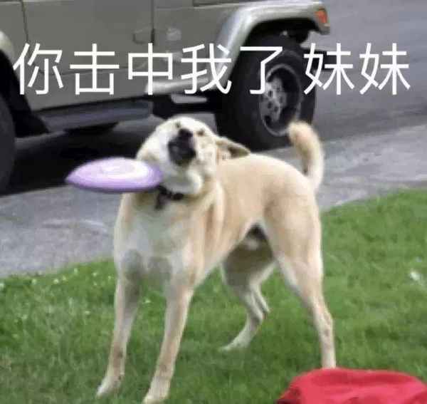 朋友圈房產(chǎn)證_朋友圈房產(chǎn)證怎么配發(fā)短文字