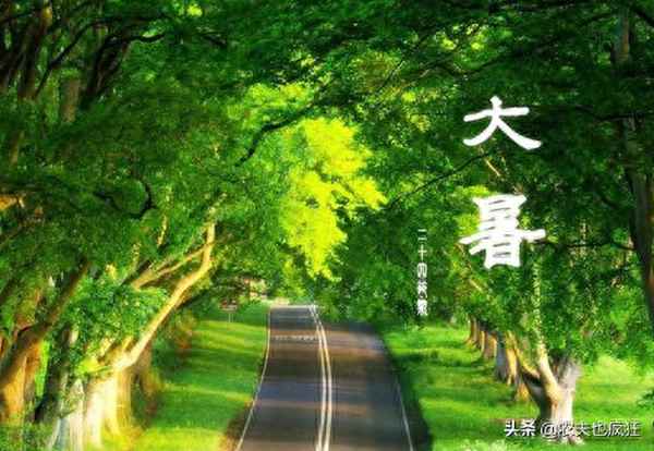 小暑雨如銀大暑雨如金什么意思;小暑雨如銀大暑雨如金是什么意思