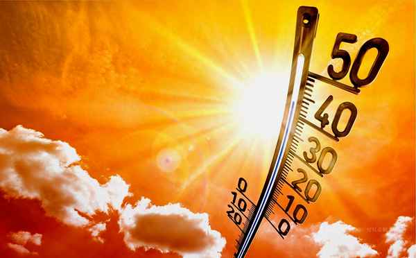欧洲11月天气预报、欧洲1月气温