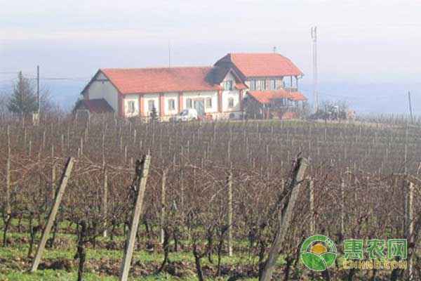 农村房子可以办房产证吗_自建房能办理房产证吗