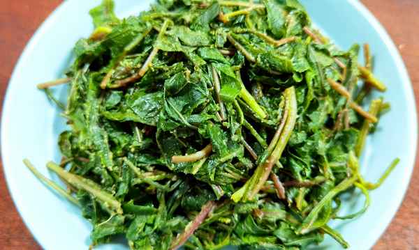 馬蘭頭別名叫什么(馬蘭頭別名叫什么野菜)