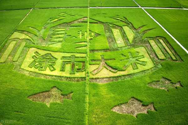 牙买加的天气情况,牙买加的天气热吗？平均温度多少