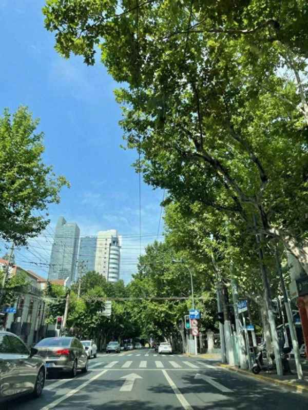 二手房產(chǎn)出售(二手房產(chǎn)出售簡易征收)