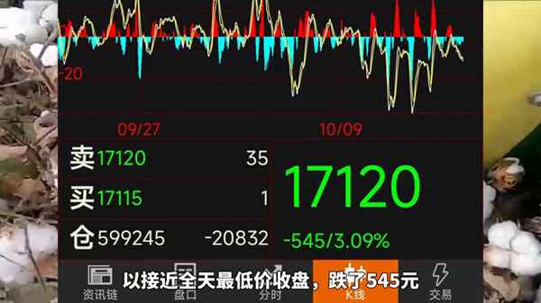 目前棉花期货价格,籽棉多少钱一斤
