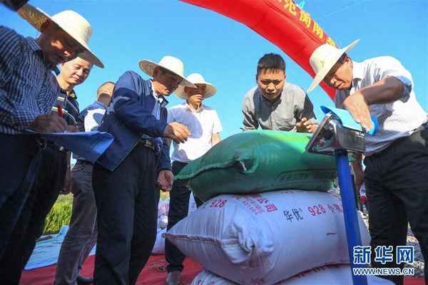 雜交水稻二代能種嗎、雜交水稻二代種子可以種出來嗎