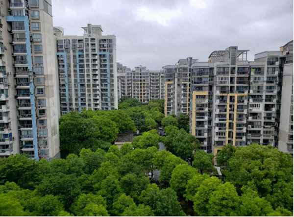 杉林新月家园房价-三林环林东路799弄房价