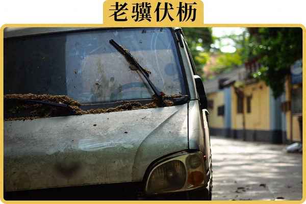 私家車一年不開如何存放,小車放家里半年不開可以嗎