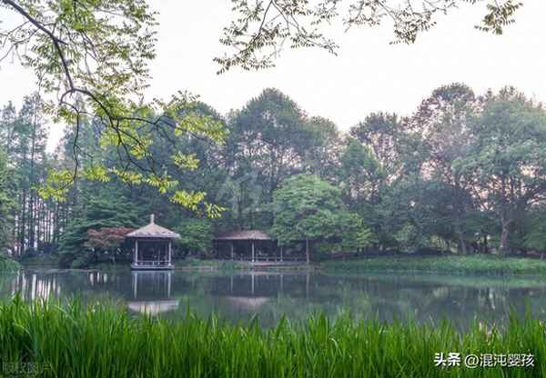 为有源头活水来前一句;为有源头活水来一句出自哪