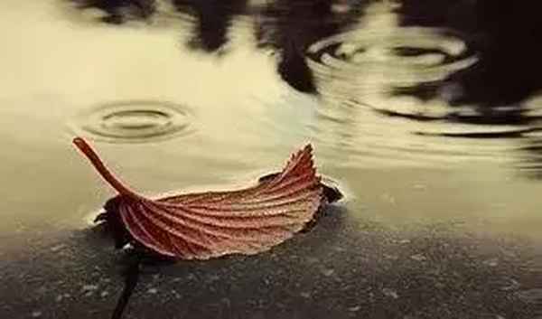 文化属性是什么意思、强势文化与弱势文化