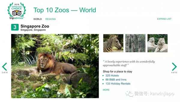 新加坡動物園有哪些動物-新加坡動物園官網(wǎng)中文