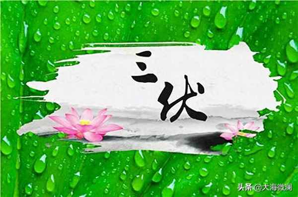 土豆泥餅的做法大全,土豆泥餅的做法大全1