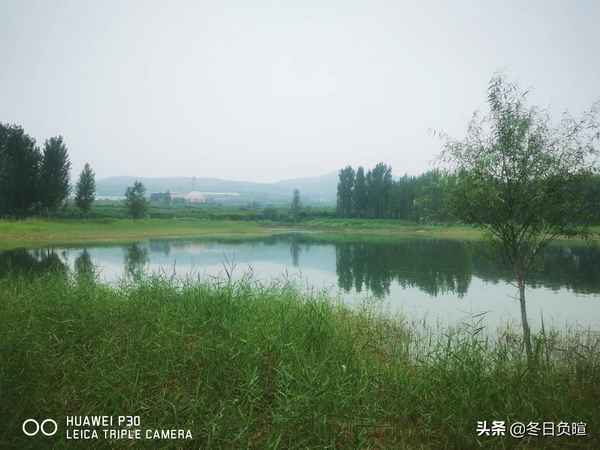 宋志南和尚的《绝句》_宋志南和尚的《绝句》视频解说