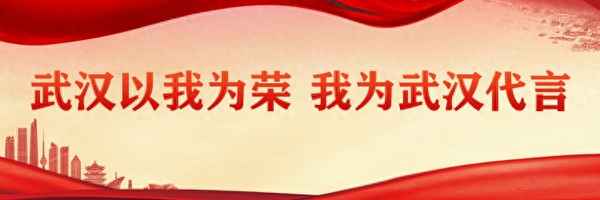 援藏干部的楷模代表-援藏干部的典型代表