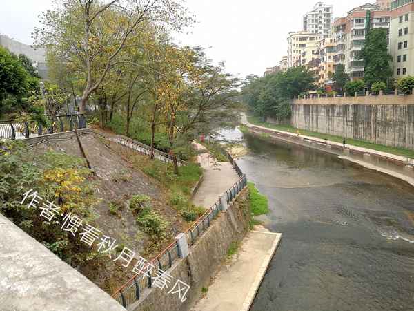 龙华文化广场;龙华文化广场图片