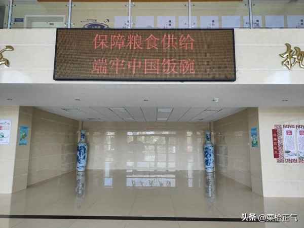 珍惜糧食的宣傳語80條(珍惜糧食宣傳語簡短)