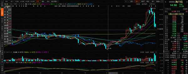 海兰信股票历史股价(海兰信股价历史高点)