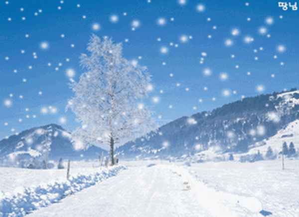 别董大解释和译文_别董大的诗意和译文秒懂百科