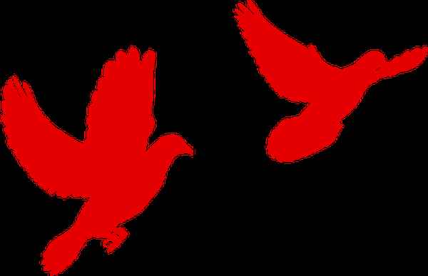 泊头房产-泊头售房信息