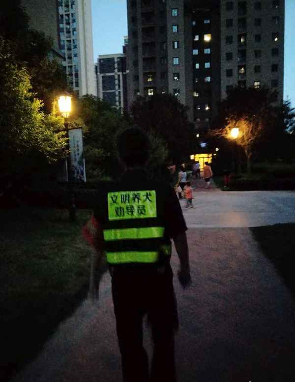 文明養犬勸導員300字免費,文明養犬倡導書