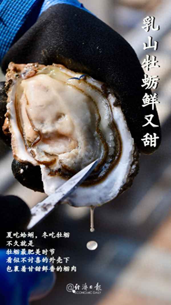 山東乳山特產(chǎn)有哪些土特產(chǎn)、乳山必買的十大特產(chǎn)