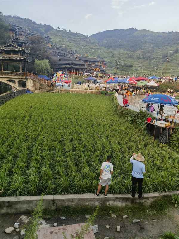 心理健康教育觀后感(學生心理健康教育觀后感)