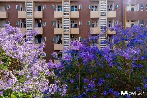西南财经大学住宿条件,西南财经大学学生宿舍