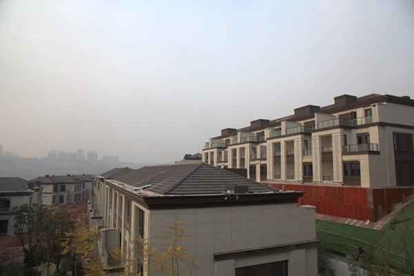 新鸿财经_新鸿资本诈骗