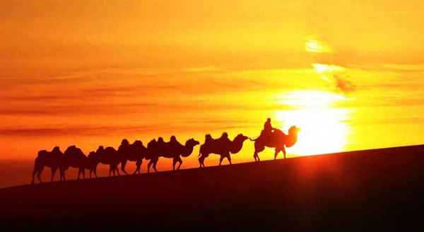 参加论坛需要准备什么—论坛年会准备工作