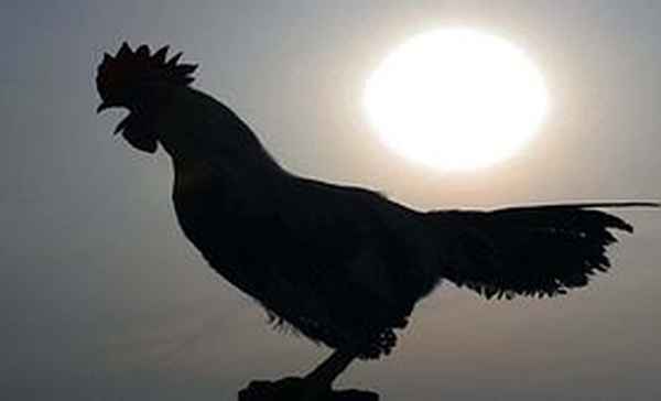 慈星股份股票股吧;慈星股份股票股吧最新消息