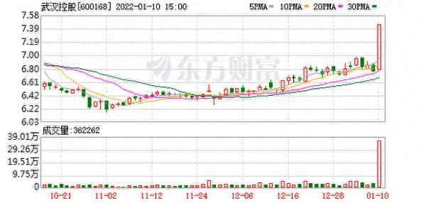 武汉控股公司股票代码—武汉控股同花顺